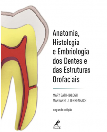 Anatomia, histologia e embriologia dos dentes